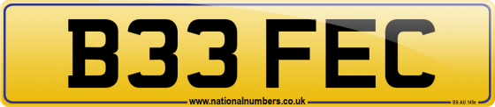B33 FEC