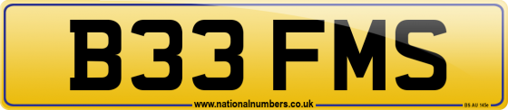 B33 FMS