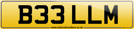 B33 LLM