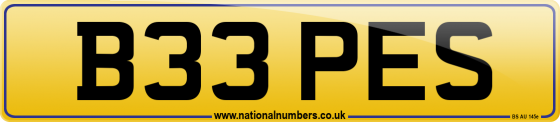 B33 PES