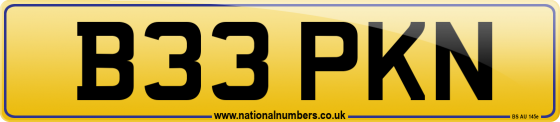 B33 PKN