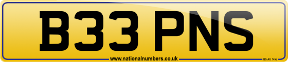 B33 PNS