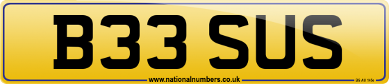 B33 SUS