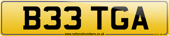 B33 TGA