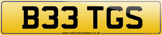 B33 TGS