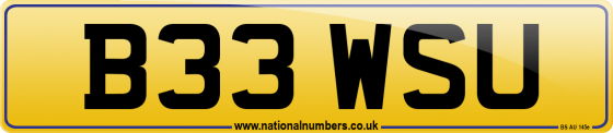 B33 WSU