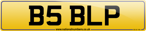 B5 BLP