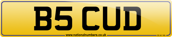 B5 CUD