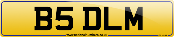 B5 DLM