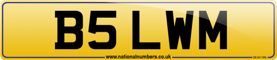 B5 LWM