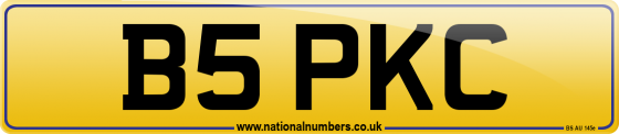 B5 PKC