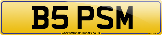 B5 PSM