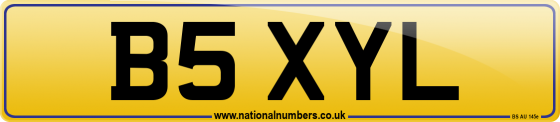 B5 XYL