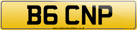 B6 CNP