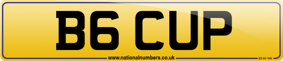 B6 CUP
