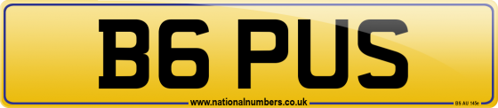 B6 PUS