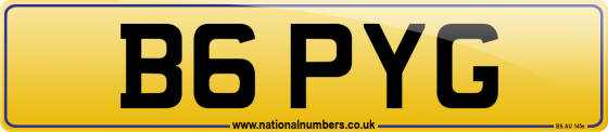 B6 PYG