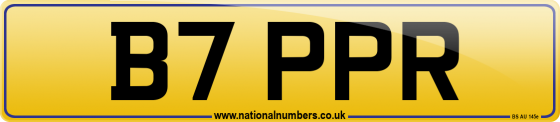 B7 PPR