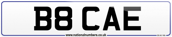 B8 CAE