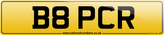 B8 PCR