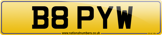 B8 PYW