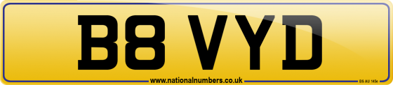 B8 VYD