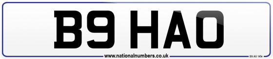 B9 HAO