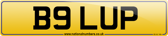 B9 LUP