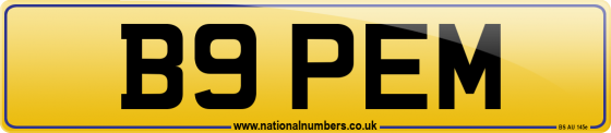B9 PEM