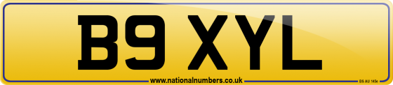 B9 XYL