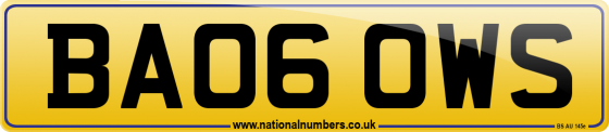 BA06 OWS