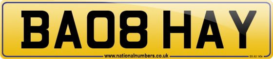 BA08 HAY
