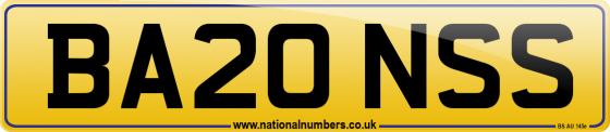 BA20 NSS