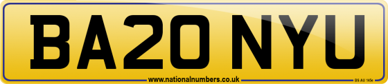 BA20 NYU