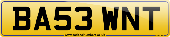 BA53 WNT