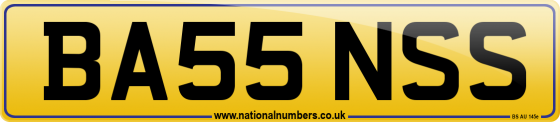 BA55 NSS