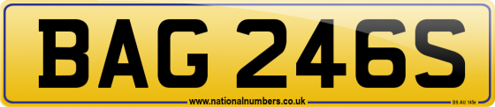 BAG 246S
