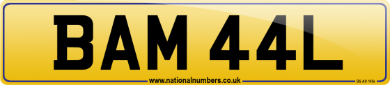 BAM 44L