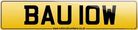 BAU 10W