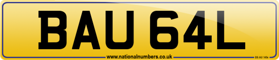BAU 64L