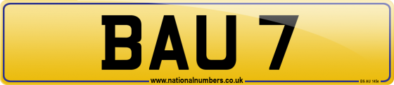 BAU 7