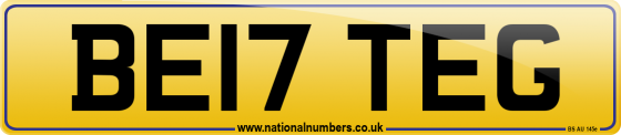 BE17 TEG