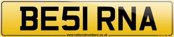 BE51 RNA
