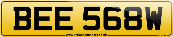 BEE 568W