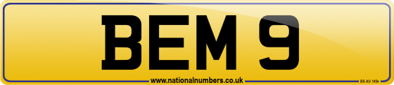 BEM 9