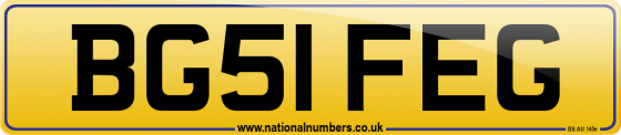 BG51 FEG