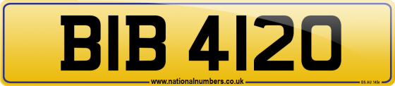 BIB 4120