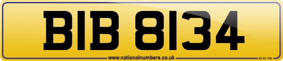 BIB 8134
