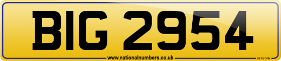 BIG 2954