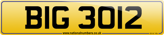 BIG 3012